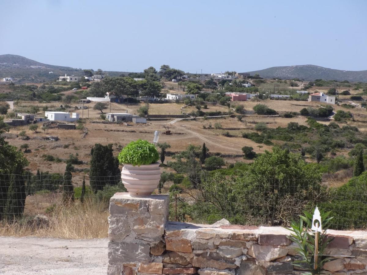 Theros House Agios Ilias  Exterior photo