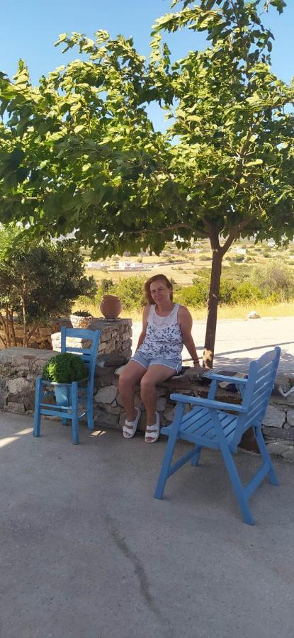 Theros House Agios Ilias  Exterior photo